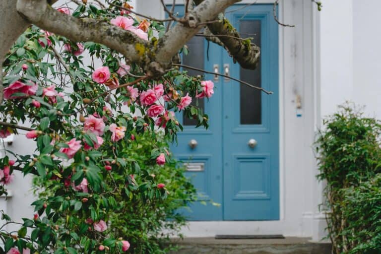 In front of a townhouse with flowering tree in the concept of affordable housing options in Streatham.